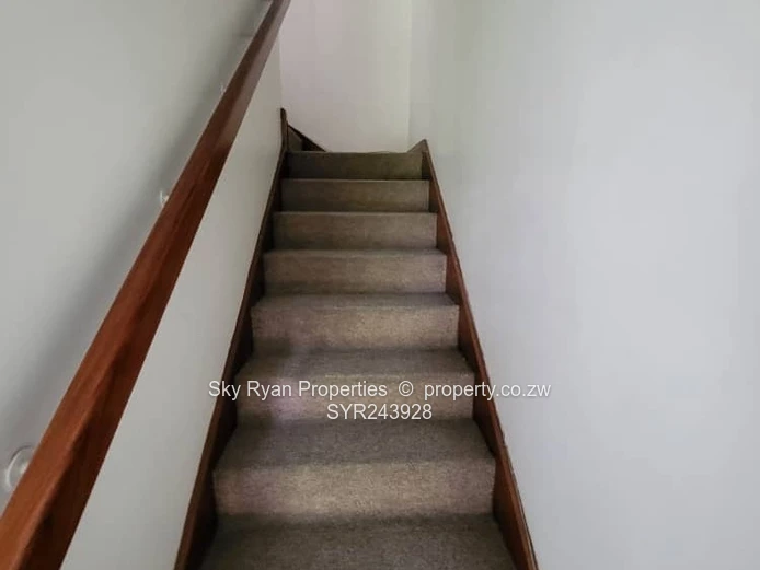 Upper Avenues Garden Flat For Sale