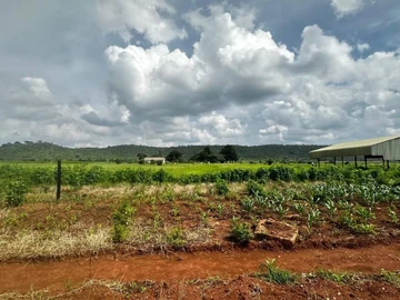 Farm & Agricultural Land