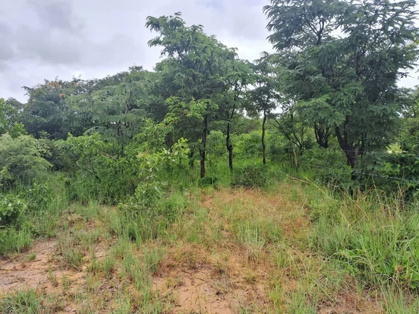 Farm & Agricultural Land