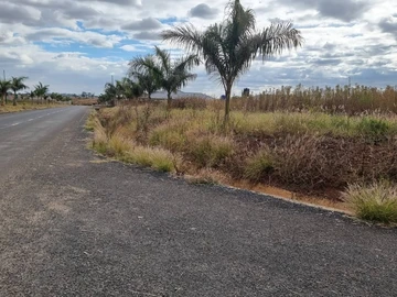 Stands & Residential Land