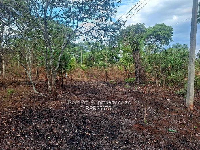 Well-treed Lake Chivero Stand (taking mortgage). . . (Sole Mandate)
