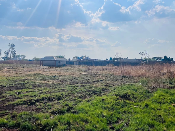Stands & Residential Land