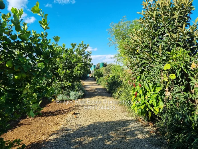 Fully Operational Peri Urban Agro Residential Plot (Sole Mandate)