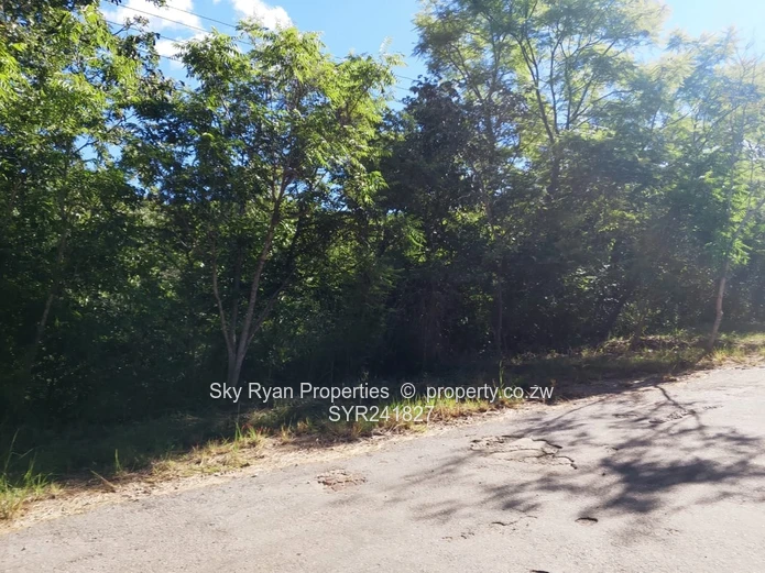 Glen Lorne  Stand For Sale