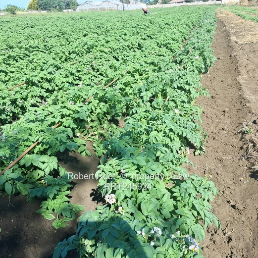 Agro residential stand (Sole Mandate)