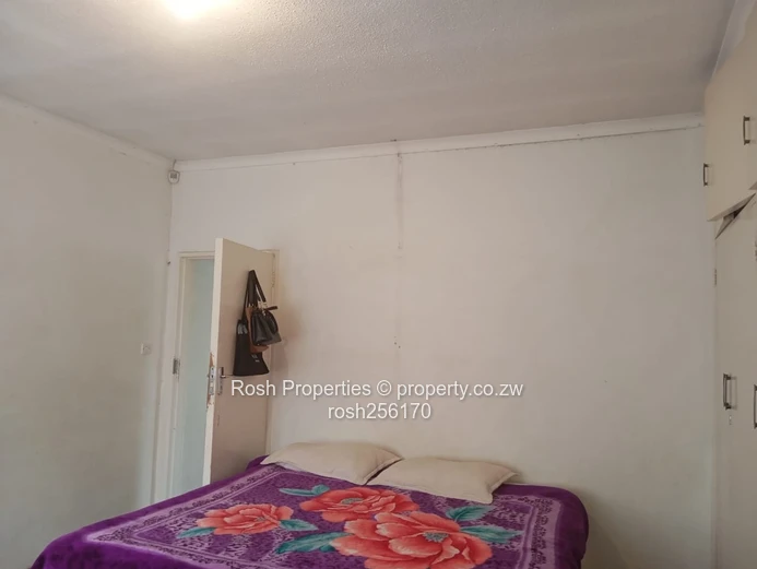 Marlborough 1-Bed Garden Flat — Verandah, Water Tank & Solar