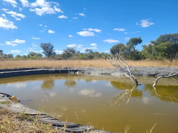 Farm & Agricultural Land