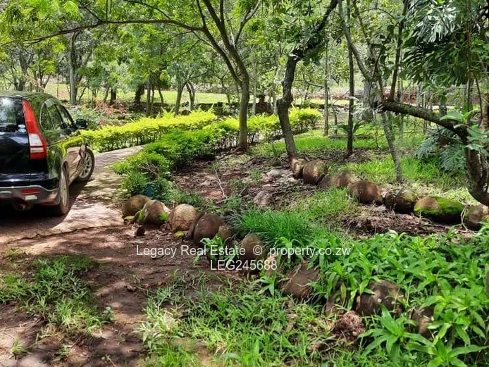 Lake Chivero 8-Bed Split-Level Home - Renovator's Dream