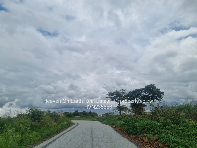 Beautiful stands for sale 