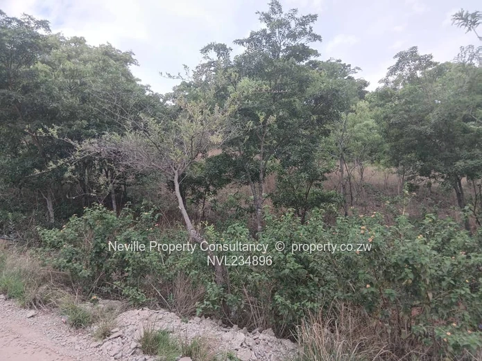 Glenlorne (Chishawasha)