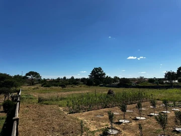 Stands & Residential Land