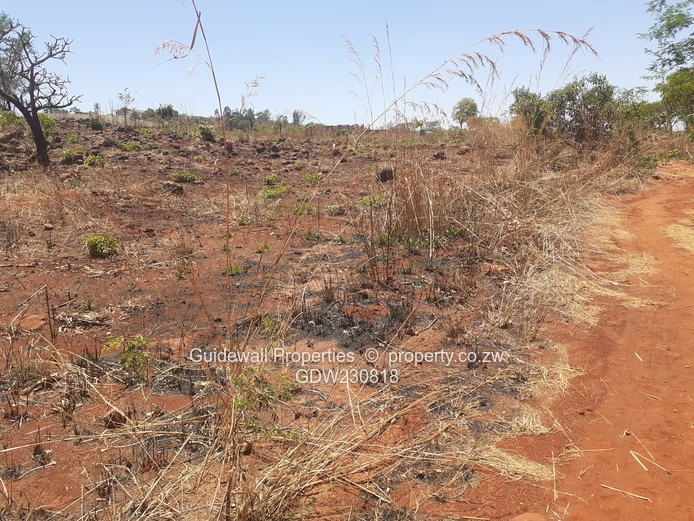 1200sqm stand with deeds in Charlotte Brook