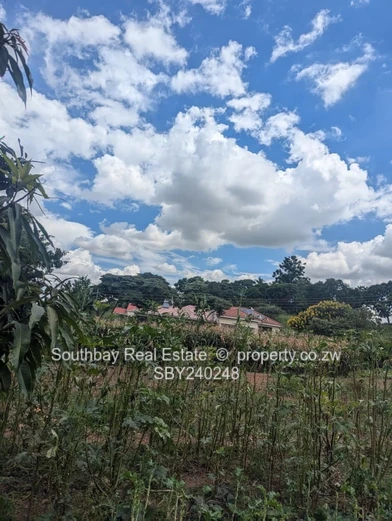 Build your future in Tynwald South