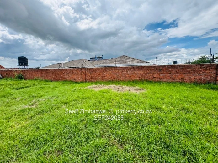 The Canvas for Your Vision:  Prime Stand in Sandton Park