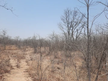 Farm & Agricultural Land