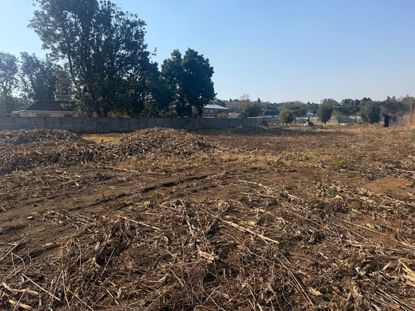 Stands & Residential Land