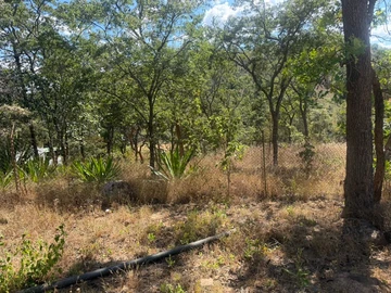 Land