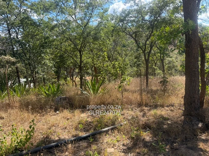 3500m² Tree-Shaded Stand with Gated Access in Glen Lorne