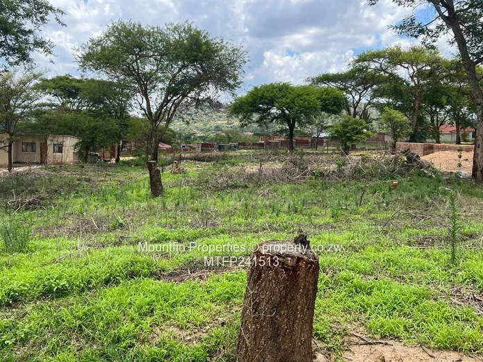 Charlotte Brooke For Sale 