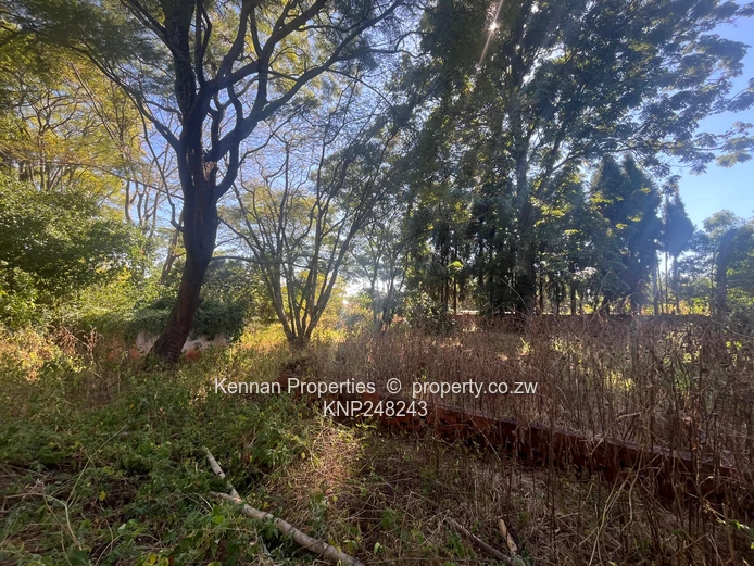 2.5 acres of land on North Road