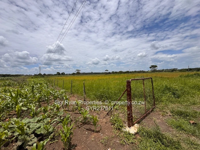 Kintyre Estate Property For Sale