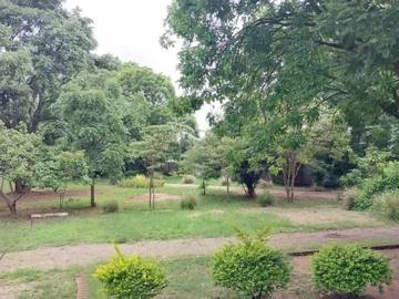 *Greendale Kamfinsa Land For Sale.*  A Developer's choice-situated just behind Kamfinsa Shopping Cen