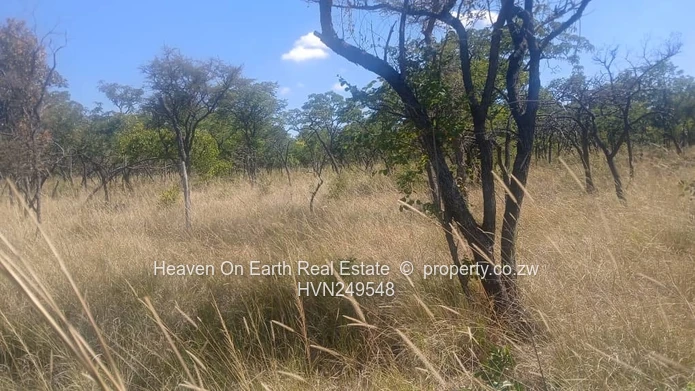 Farm for sale
