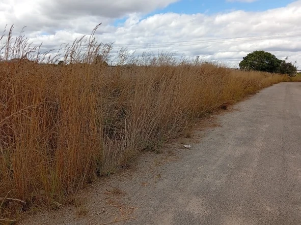 Commercial & Industrial Land