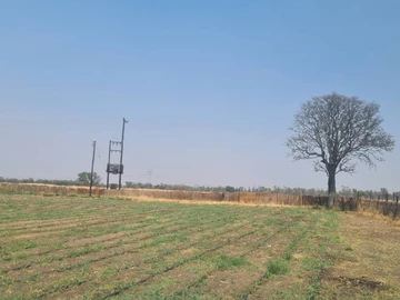 Farm & Agricultural Land