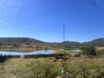 **Expansive 150 Hectares Farm in Bindura: Prime Agricultural Land!**