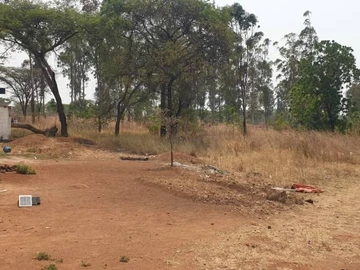 Commercial & Industrial Land