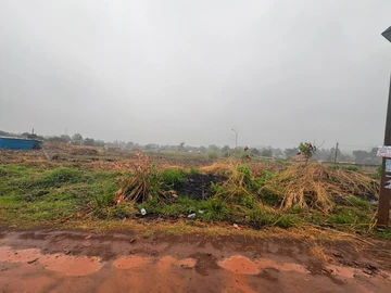 Land