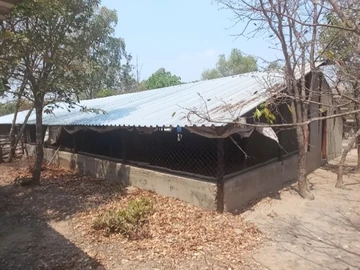 Farm & Agricultural Land