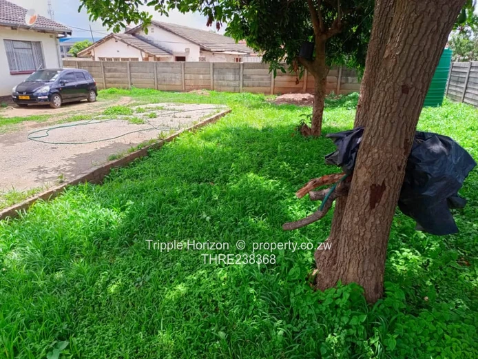 Great Potential! Close to CBD