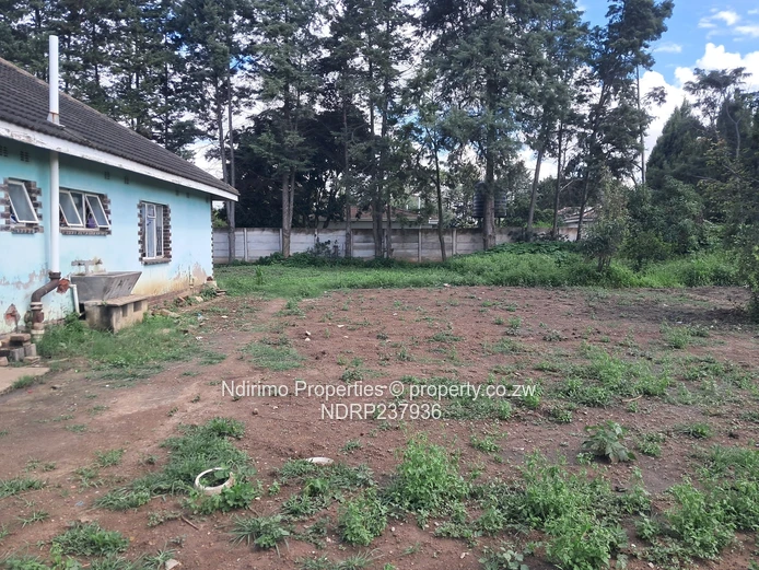 Emerald Hill, Developer Potential