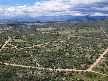 Farm & Agricultural Land