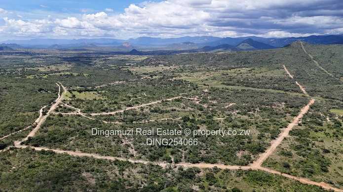 Nyanga Agricultural Plots