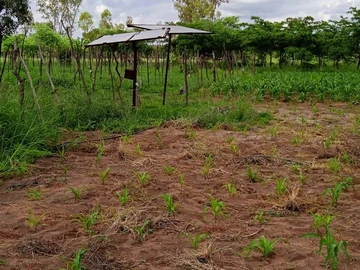 Farm & Agricultural Land