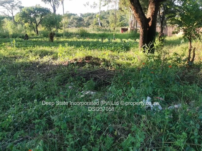 Chishawasha (Gletwin) stand for sale