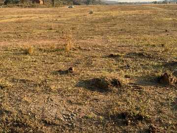 Farm & Agricultural Land