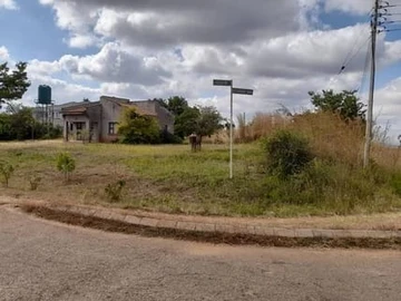 7 Bedroom House