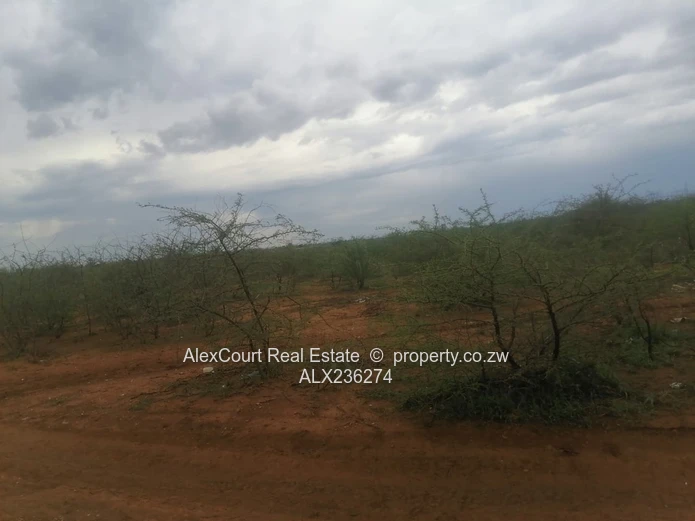 2-hectare (5-acre) Plot Up For Grabs!