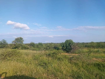 Farm & Agricultural Land