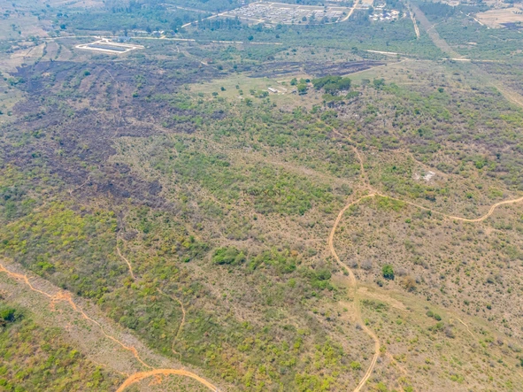 Farm & Agricultural Land