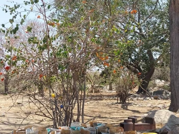 Farm & Agricultural Land