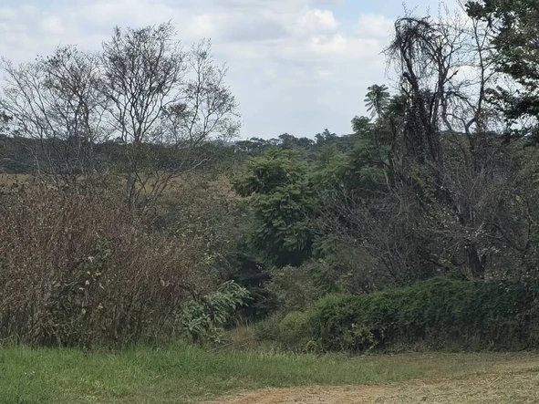 Farm & Agricultural Land