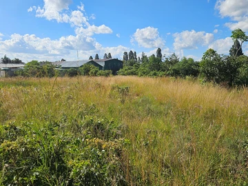 Commercial & Industrial Land