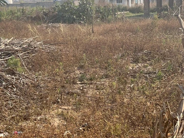 Commercial & Industrial Land