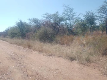 Stands & Residential Land