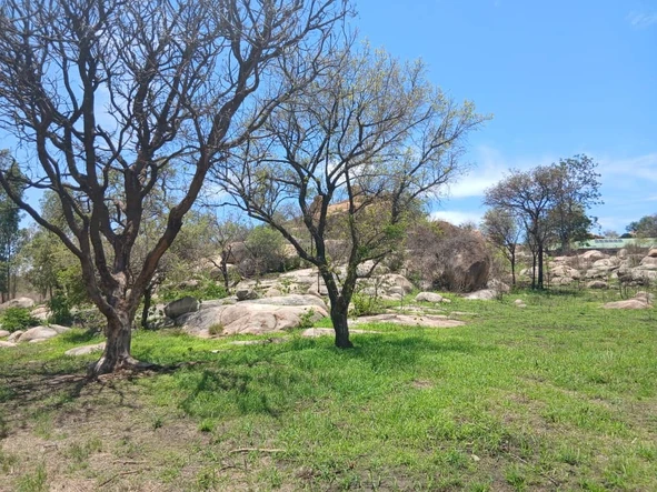 Farm & Agricultural Land